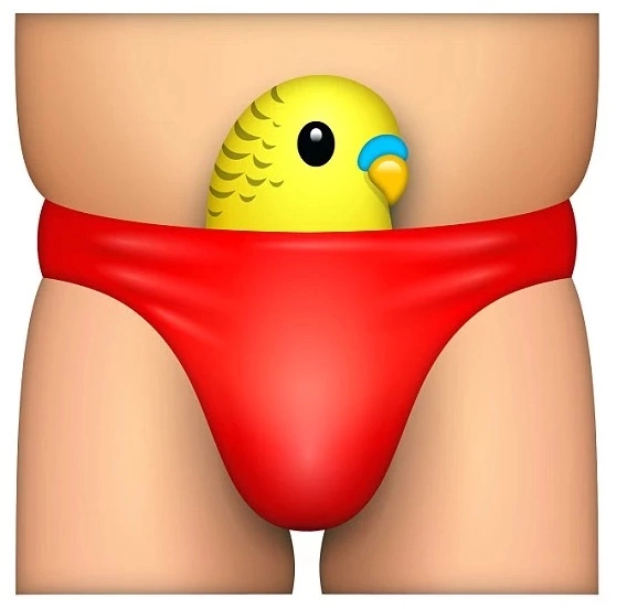 budgie smugglers